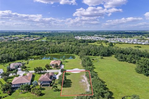 Land in Bradenton, Florida № 1870694 - photo 4