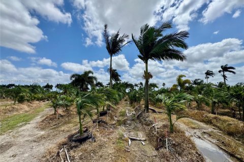 Propiedad comercial en venta en Homestead, Florida № 1958881 - foto 8