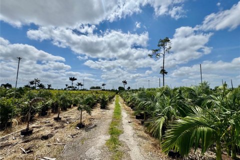 Propiedad comercial en venta en Homestead, Florida № 1958881 - foto 14