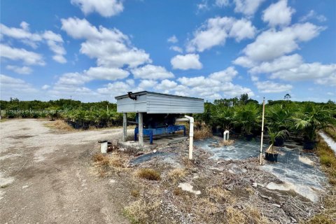 Propiedad comercial en venta en Homestead, Florida № 1958881 - foto 10