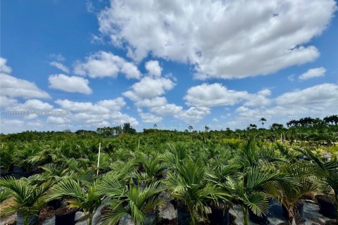 Propiedad comercial en venta en Homestead, Florida № 1958881 - foto 9