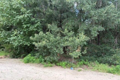 House in Dunnellon, Florida 4 bedrooms, 210.42 sq.m. № 2229890 - photo 10