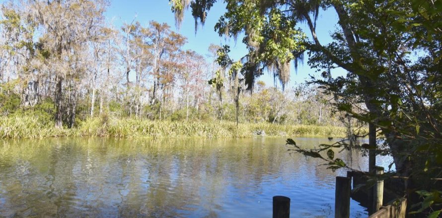 Terrain à Vernon, Floride № 558991
