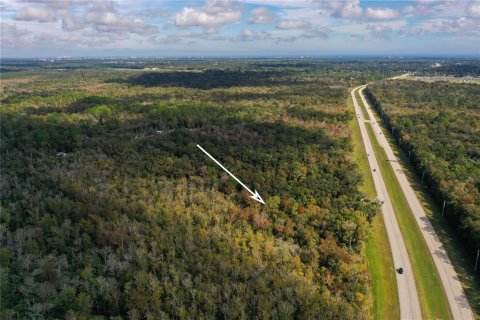 Land in Edgewater, Florida № 1535047 - photo 4