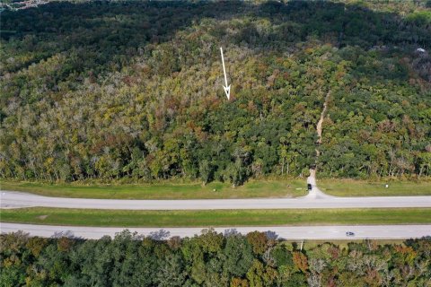 Land in Edgewater, Florida № 1535047 - photo 2