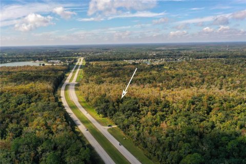 Land in Edgewater, Florida № 1535047 - photo 8