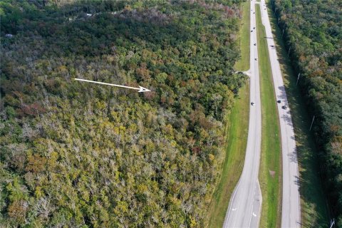 Land in Edgewater, Florida № 1535047 - photo 3