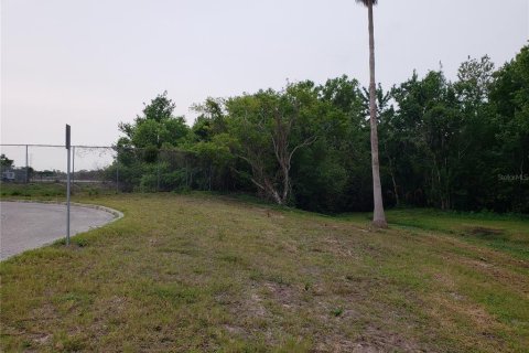 Land in Tarpon Springs, Florida № 1104815 - photo 16