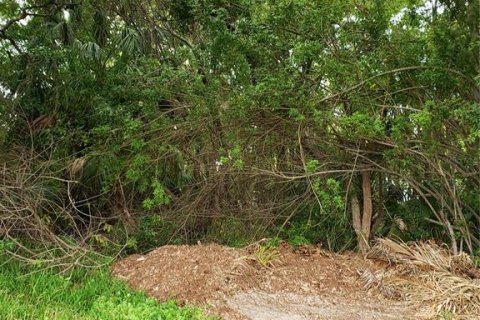 Land in Tarpon Springs, Florida № 1104815 - photo 12