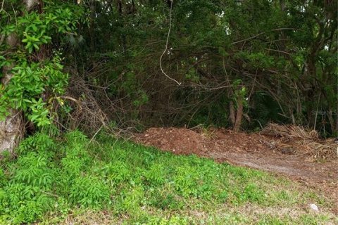 Land in Tarpon Springs, Florida № 1104815 - photo 2