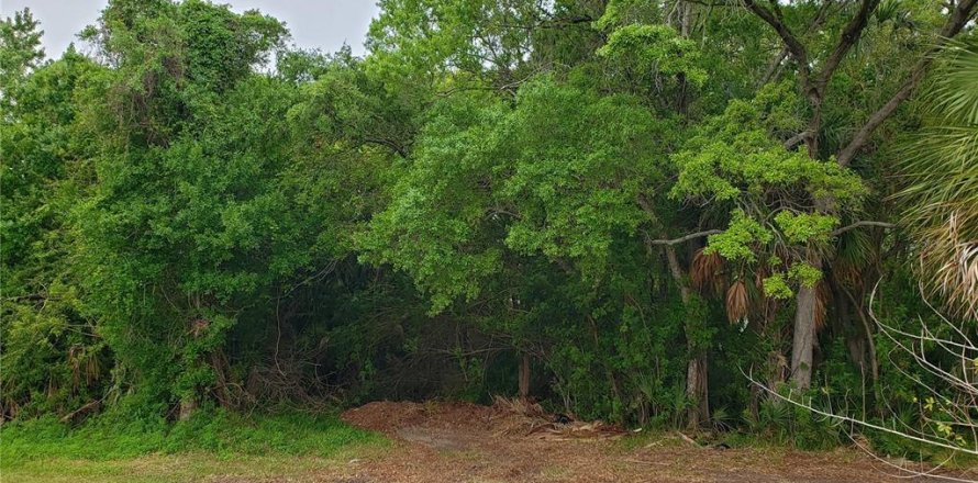 Land in Tarpon Springs, Florida № 1104815