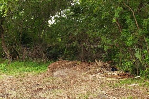 Land in Tarpon Springs, Florida № 1104815 - photo 11