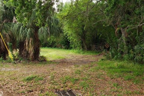 Land in Tarpon Springs, Florida № 1104815 - photo 8