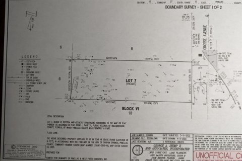 Land in Tarpon Springs, Florida № 1104815 - photo 3