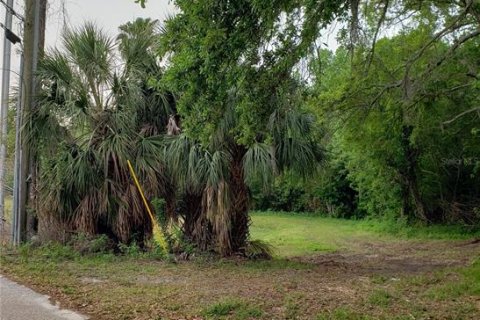 Land in Tarpon Springs, Florida № 1104815 - photo 7