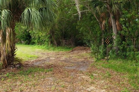Land in Tarpon Springs, Florida № 1104815 - photo 9