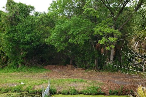 Land in Tarpon Springs, Florida № 1104815 - photo 14