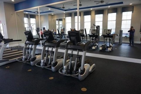 Снять в аренду коммерческую недвижимость в Майами, Флорида 179.3м2, № 1951030 - фото 9