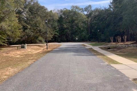 Land in Quincy, Florida № 1010317 - photo 4