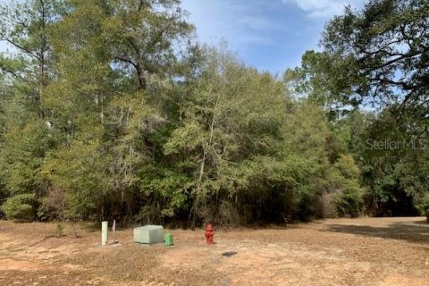 Land in Quincy, Florida № 1010317 - photo 3