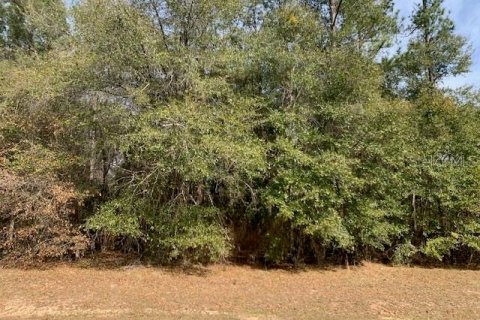 Land in Quincy, Florida № 1010317 - photo 1