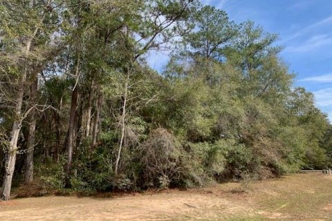 Land in Quincy, Florida № 1010317 - photo 2