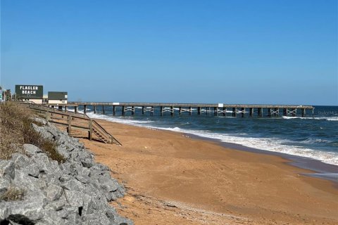Land in Flagler Beach, Florida № 1908229 - photo 23