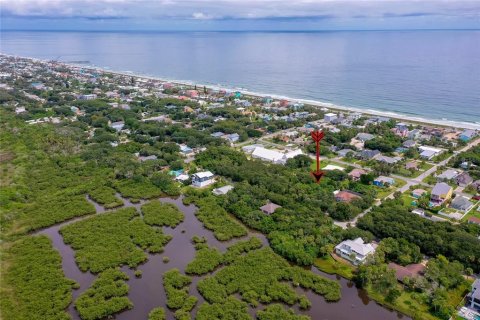 Terreno en venta en Flagler Beach, Florida № 1908229 - foto 10