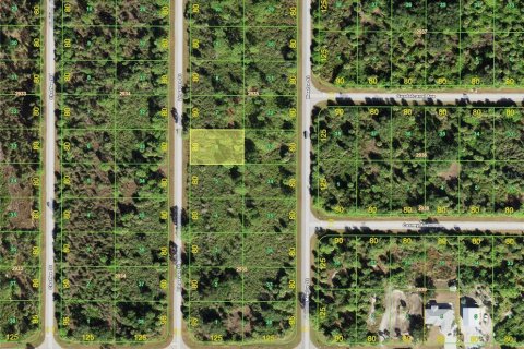 Land in Port Charlotte, Florida № 2383693