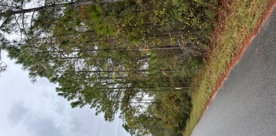 Land in Georgetown, Florida № 841089