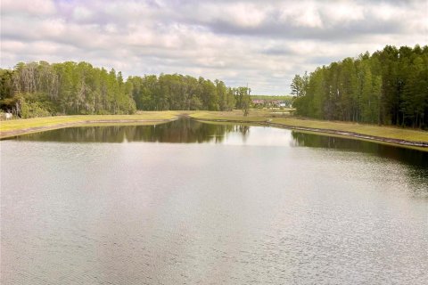 Снять в аренду таунхаус в Лутц, Флорида 3 комнаты, 215.44м2, № 2092968 - фото 6