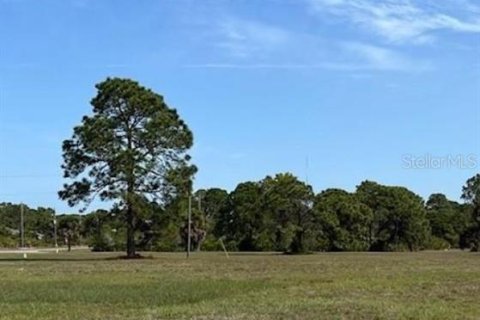 Land in Placida, Florida № 2159848