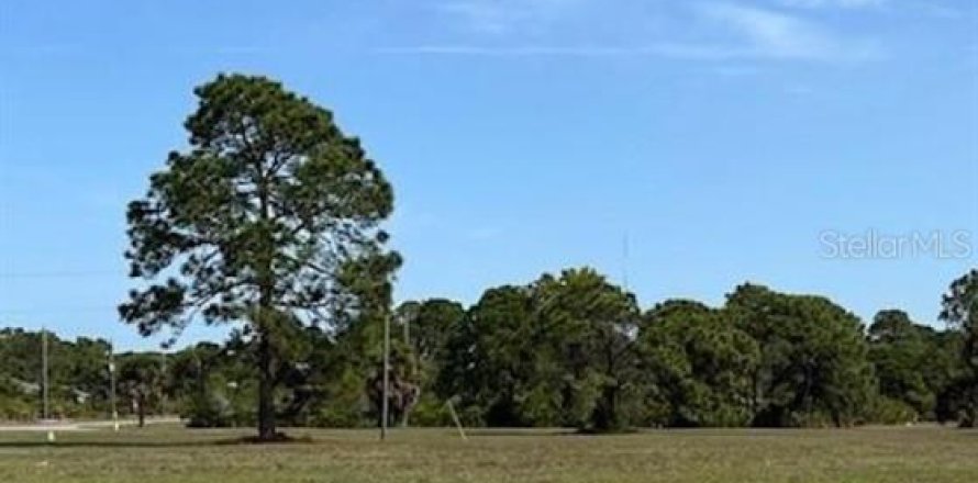 Land in Placida, Florida № 2159848