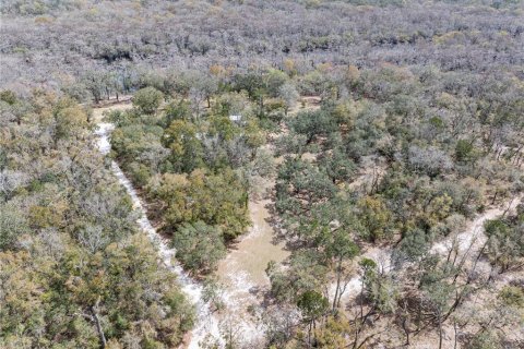 Купить виллу или дом в Брэнфорд, Флорида 3 комнаты, 37.16м2, № 2143841 - фото 26