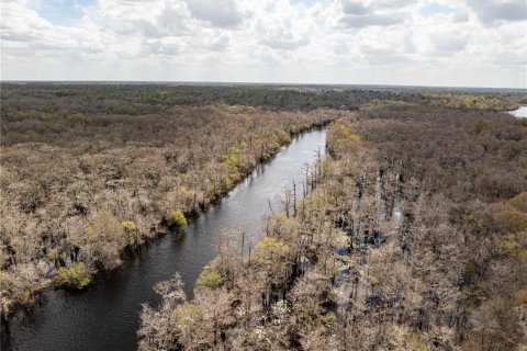 Купить виллу или дом в Брэнфорд, Флорида 3 комнаты, 37.16м2, № 2143841 - фото 19