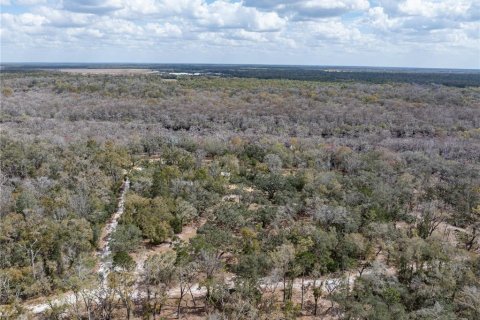 Купить виллу или дом в Брэнфорд, Флорида 3 комнаты, 37.16м2, № 2143841 - фото 28