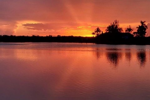 Land in Cape Coral, Florida № 2114312 - photo 15