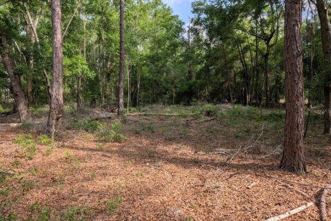Land in Branford, Florida № 1735199 - photo 7