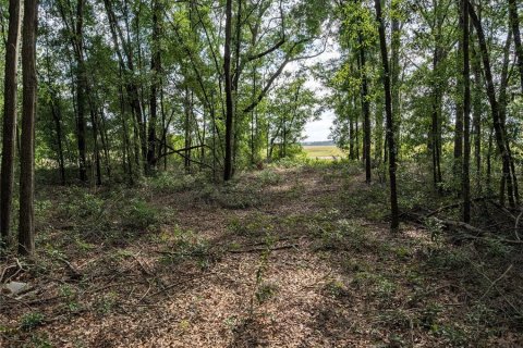 Land in Branford, Florida № 1735199 - photo 5