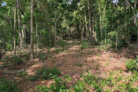 Land in Branford, Florida № 1735199 - photo 8