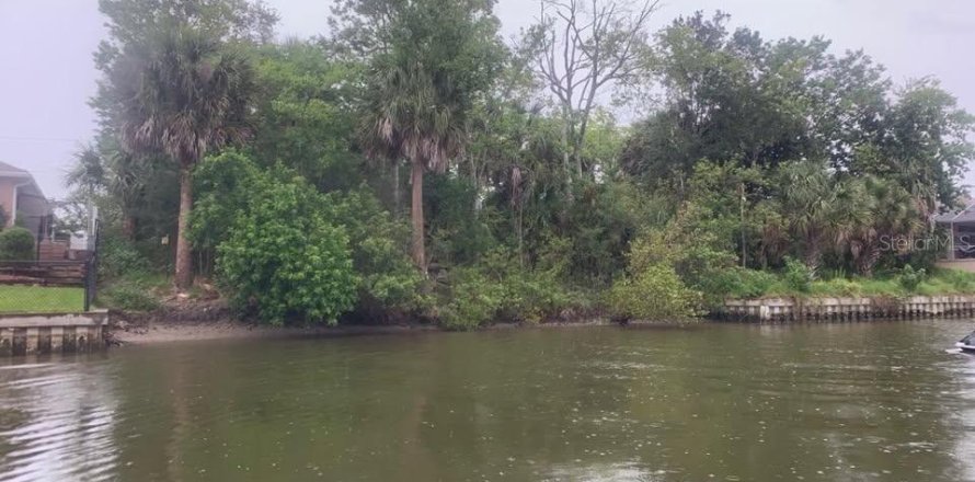 Land in Palm Coast, Florida № 1722027