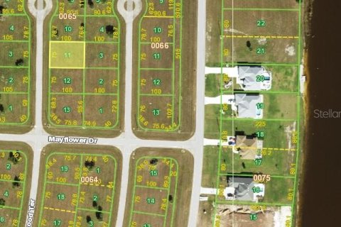 Land in Placida, Florida № 2273328 - photo 2
