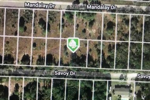 Land in Punta Gorda, Florida № 2161925 - photo 2