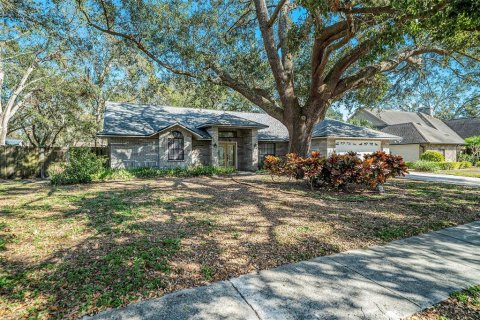 Villa ou maison à vendre à Valrico, Floride: 4 chambres, 203.27 m2 № 1528491 - photo 2