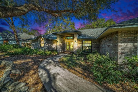 Villa ou maison à vendre à Valrico, Floride: 4 chambres, 203.27 m2 № 1528491 - photo 1