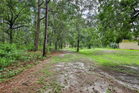 Villa ou maison à vendre à Brooksville, Floride: 2 chambres, 98.85 m2 № 2284374 - photo 13