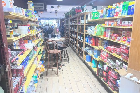 Купить коммерческую недвижимость в Майами, Флорида № 2022090 - фото 8