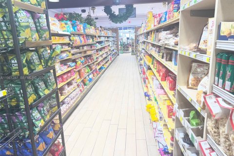 Купить коммерческую недвижимость в Майами, Флорида № 2022090 - фото 9