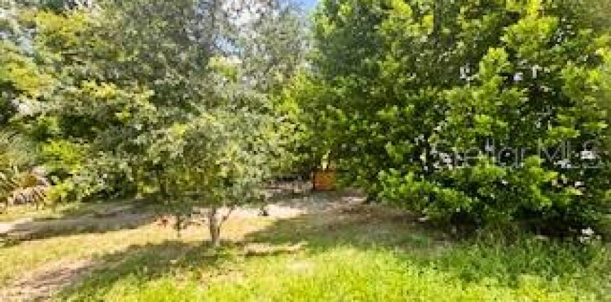 Land in Orlando, Florida № 1856296