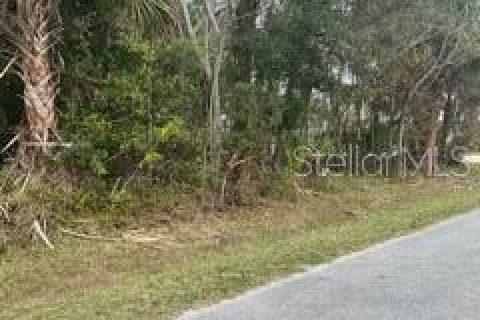 Land in Palm Coast, Florida № 307164 - photo 2